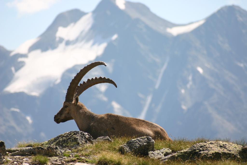 S'Huamatl Apartman Sankt Leonhard im Pitztal Kültér fotó